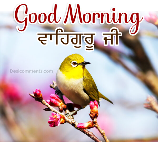 Good Morning Satnam Waheguru G