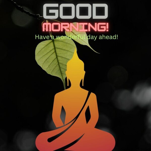 Amazing Good Morning Lord Buddha Have A Wonderful Day