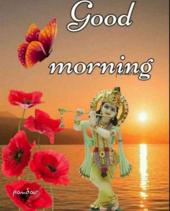 Beautiful Sri Krishna Good Morning Image