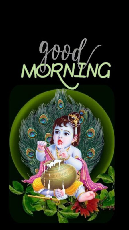 Beautiful Sri Krishna Good Morning Images