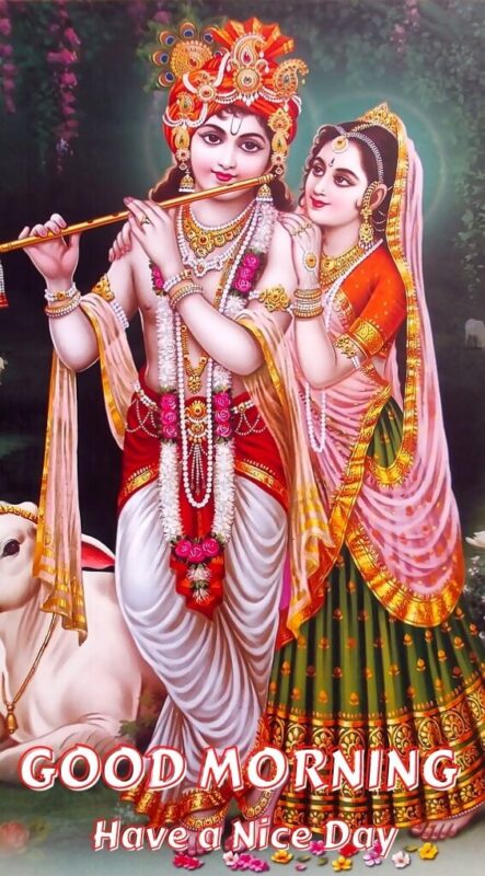 Beautiful Sri Radha Krishna Good Morning Image