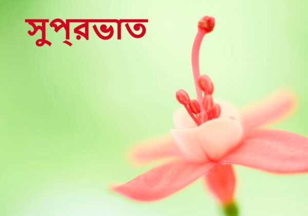 Bengali Good Morning Pic