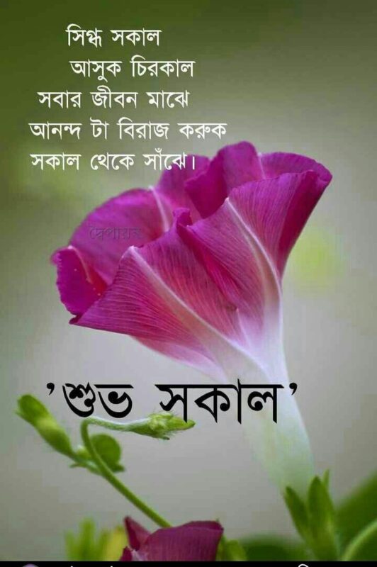 Bengali Good Morning Pic Flower