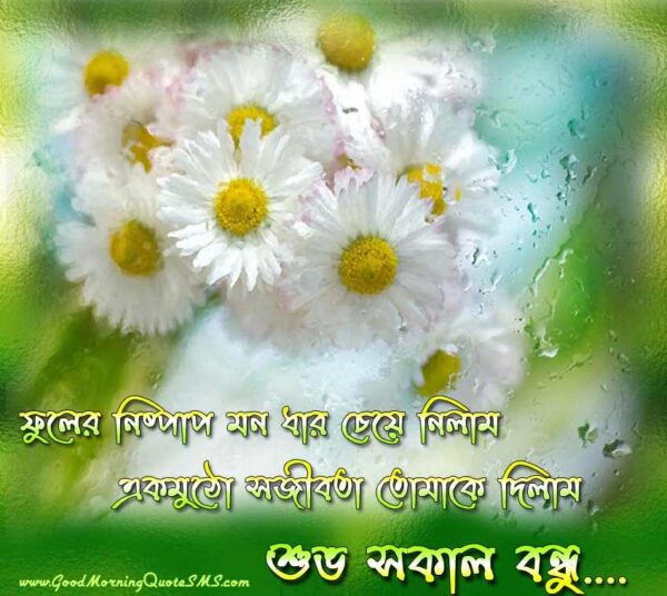 Bengali Good Morning Sms Shuprovat Wishes