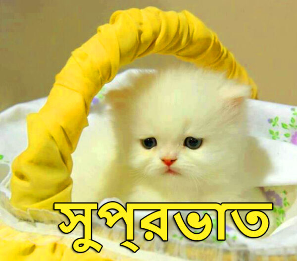 Bengali Good Morning Wishes