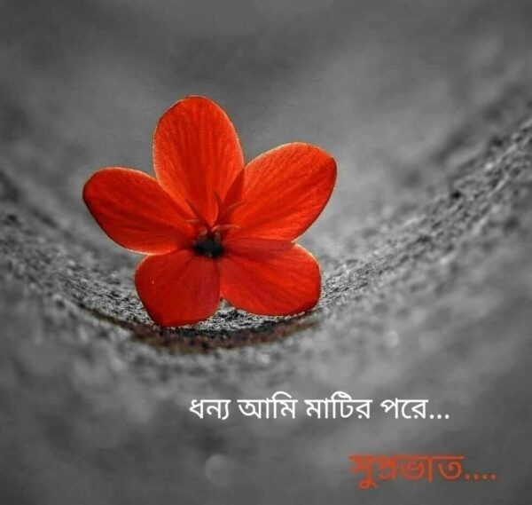 Bengali Great Good Morning Image