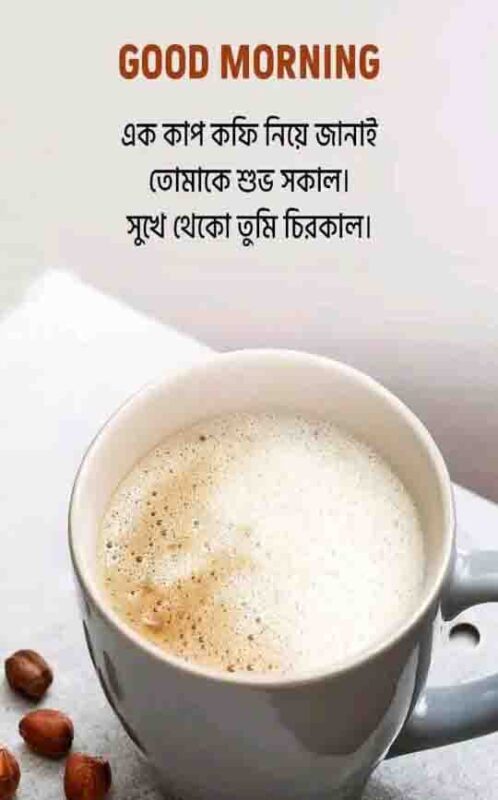 Best Bengali Good Morning Image