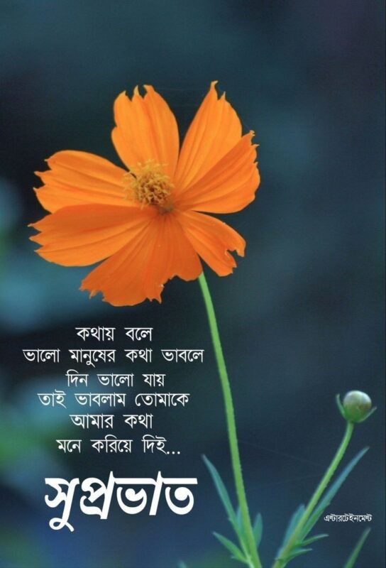 Best Bengali Good Morning Photo