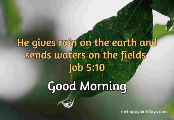Good Morning Bible Quote Image