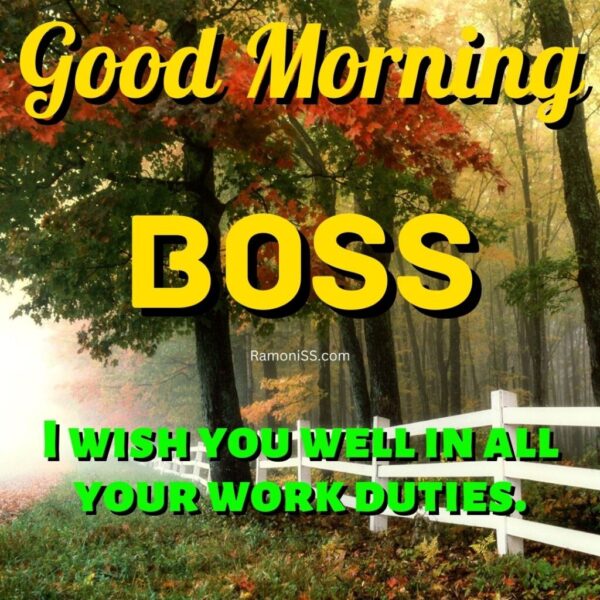 Good Morning Boss Sunrise Forest View Image