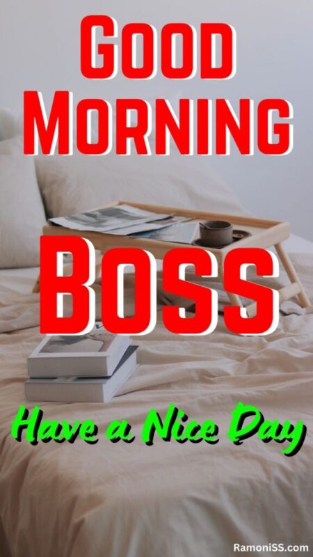 Good Morning Boss Written On The Image