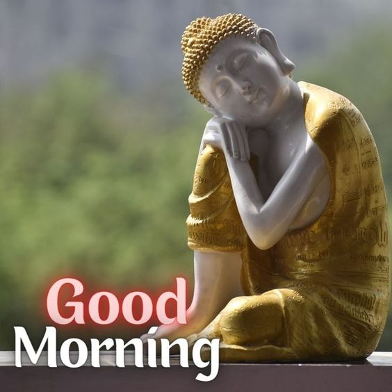 Good Morning Buddha Wish Image