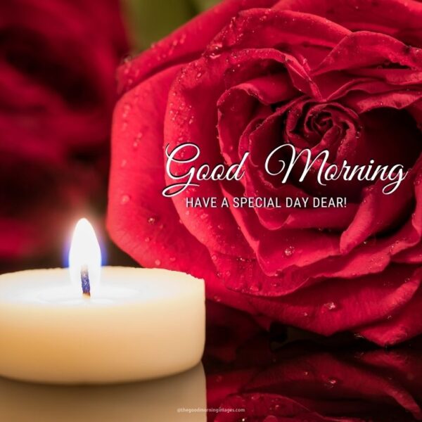 Good Morning Candle With Rose Have A Special Day Dear
