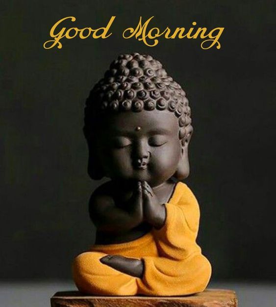 Good Morning Lord Buddha Have A Beautiful Day Photo
