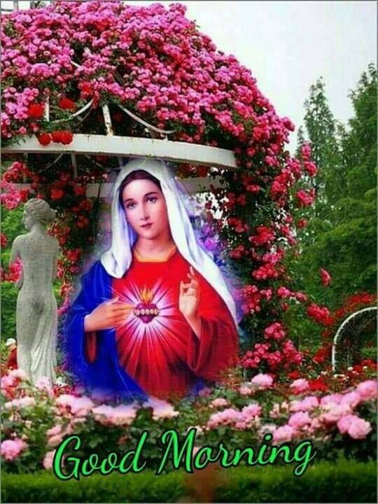 Good Morning Mother Mary Flowers