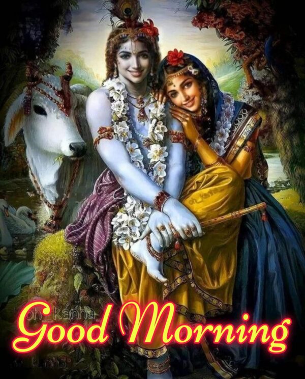 Good Morning Radha Krishna Photo