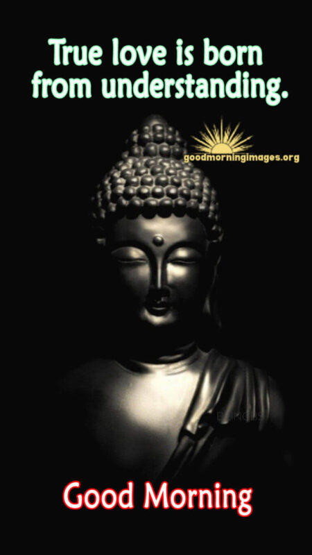 Morning Blessings From Buddha Hd Download Pic