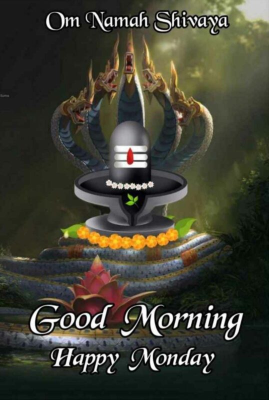 Om Namah Shivay Pic