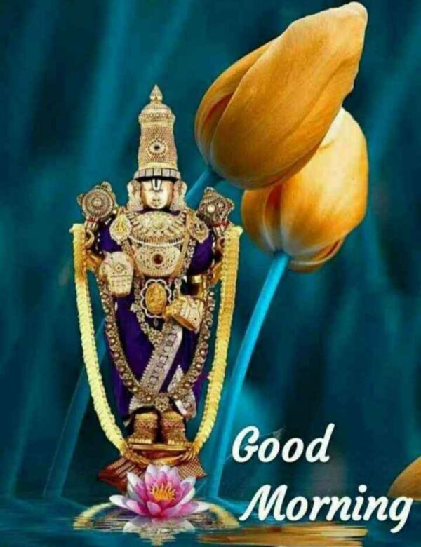 Wonderful Saturday Good Morning Balaji Flower